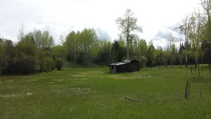 Old Cabin